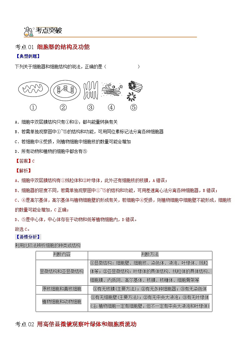 【同步讲义】高中生物（人教版2019）必修第一册--3.2.1《细胞器之间的分工》讲义02