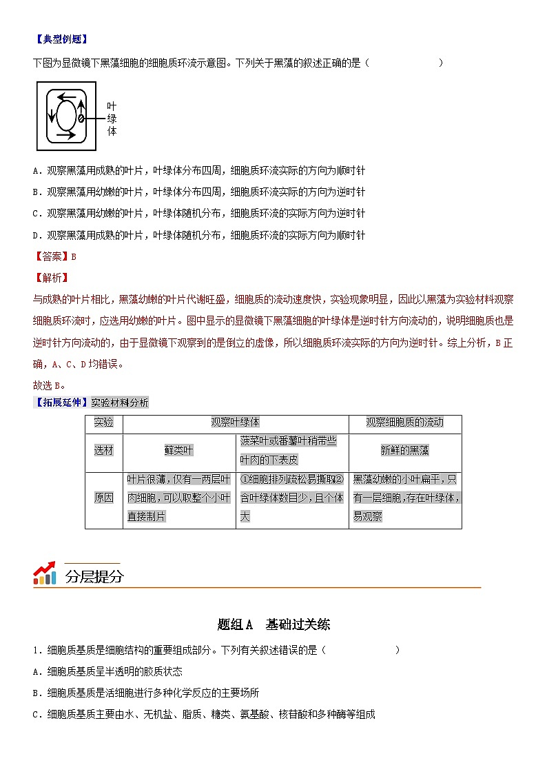 【同步讲义】高中生物（人教版2019）必修第一册--3.2.1《细胞器之间的分工》讲义03