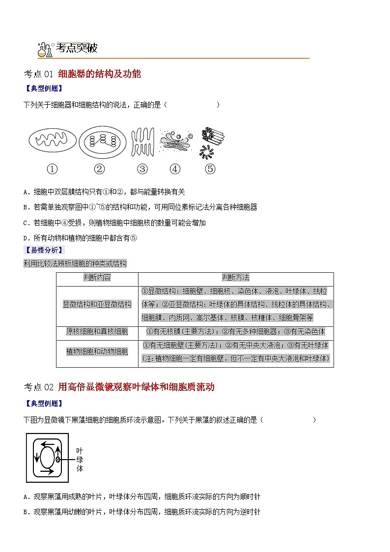 【同步讲义】高中生物（人教版2019）必修第一册--3.2.1《细胞器之间的分工》讲义02