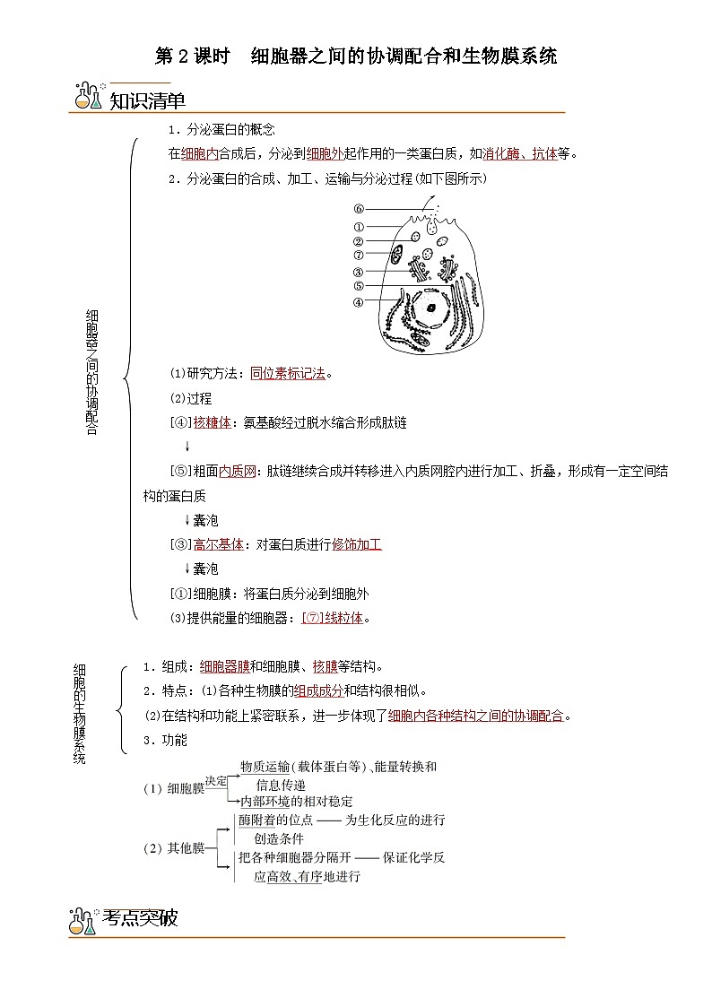 【同步讲义】高中生物（人教版2019）必修第一册--3.2.2《细胞器之间的协调配合和生物膜系统》讲义01