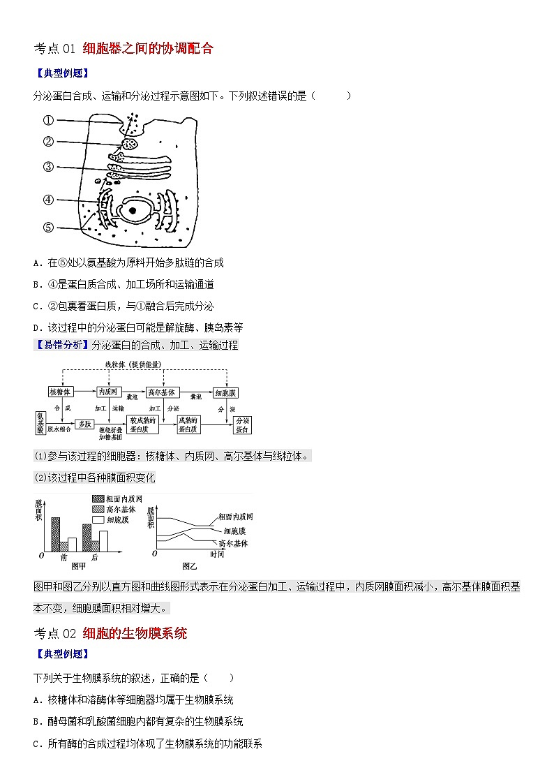 【同步讲义】高中生物（人教版2019）必修第一册--3.2.2《细胞器之间的协调配合和生物膜系统》讲义02