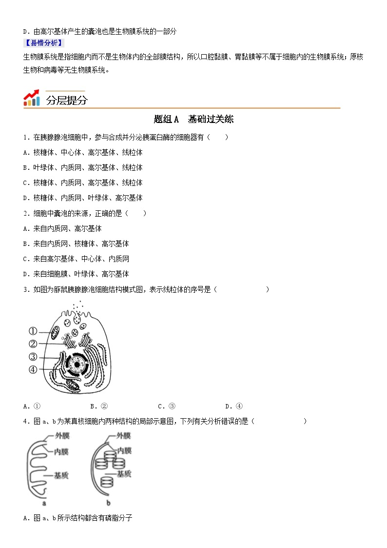 【同步讲义】高中生物（人教版2019）必修第一册--3.2.2《细胞器之间的协调配合和生物膜系统》讲义03