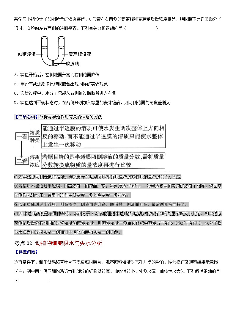 【同步讲义】高中生物（人教版2019）必修第一册--4.1《被动运输》讲义03