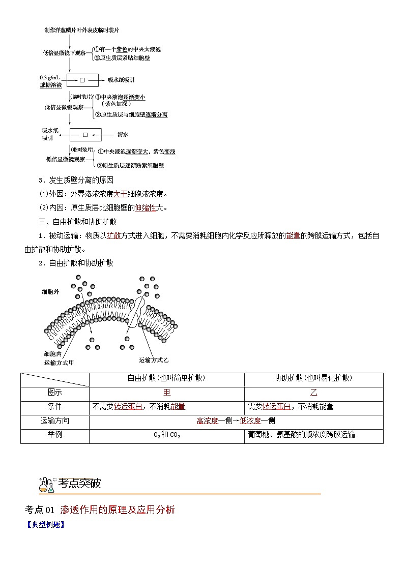 【同步讲义】高中生物（人教版2019）必修第一册--4.1《被动运输》讲义02