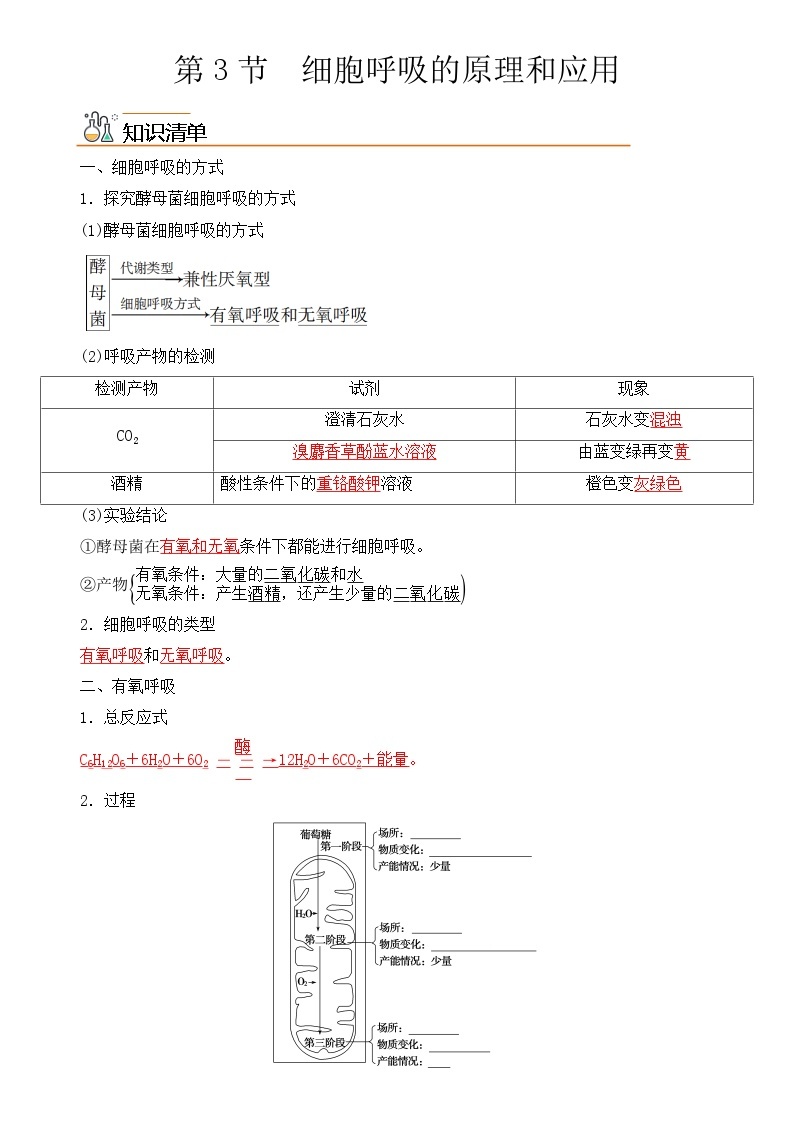 【同步讲义】高中生物（人教版2019）必修第一册--5.3《细胞呼吸的原理和应用》讲义01