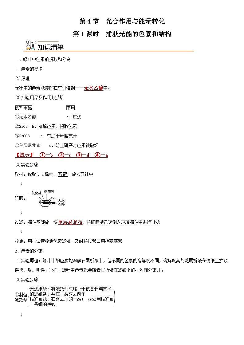 【同步讲义】高中生物（人教版2019）必修第一册--5.4.1《捕获光能的色素和结构》讲义（教师版）第1页