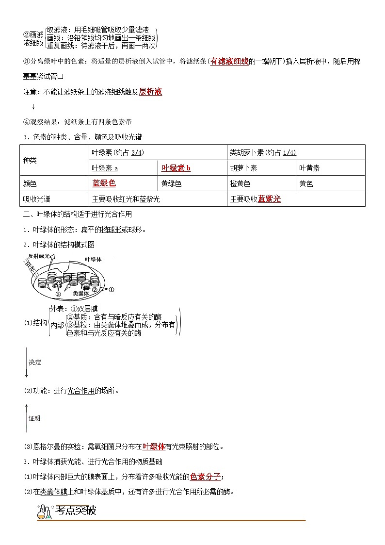 【同步讲义】高中生物（人教版2019）必修第一册--5.4.1《捕获光能的色素和结构》讲义（教师版）第2页