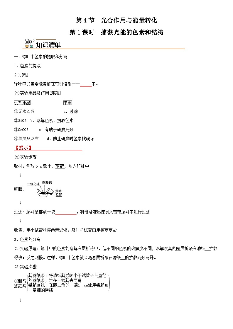 【同步讲义】高中生物（人教版2019）必修第一册--5.4.1《捕获光能的色素和结构》讲义（学生版）第1页