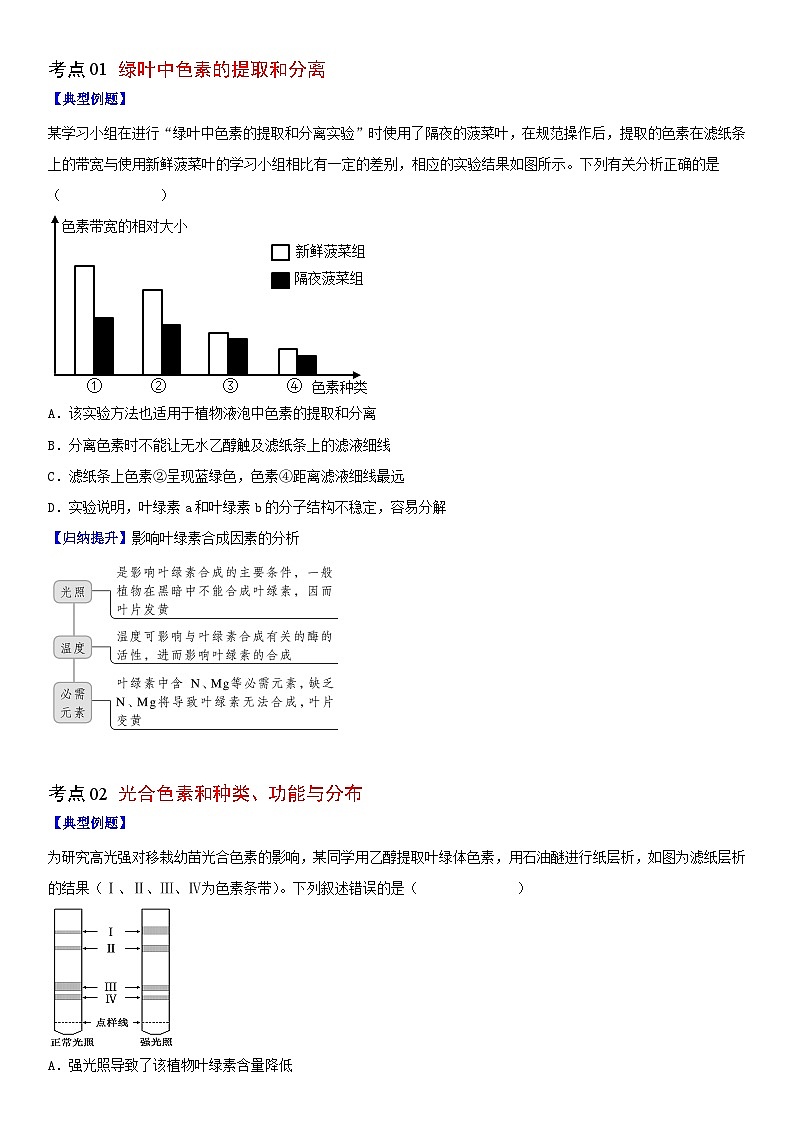 【同步讲义】高中生物（人教版2019）必修第一册--5.4.1《捕获光能的色素和结构》讲义（学生版）第3页