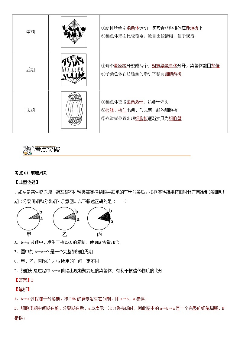 【同步讲义】高中生物（人教版2019）必修第一册--6.1.1《细胞周期和高等植物细胞的有丝分裂》讲义（教师版）第2页