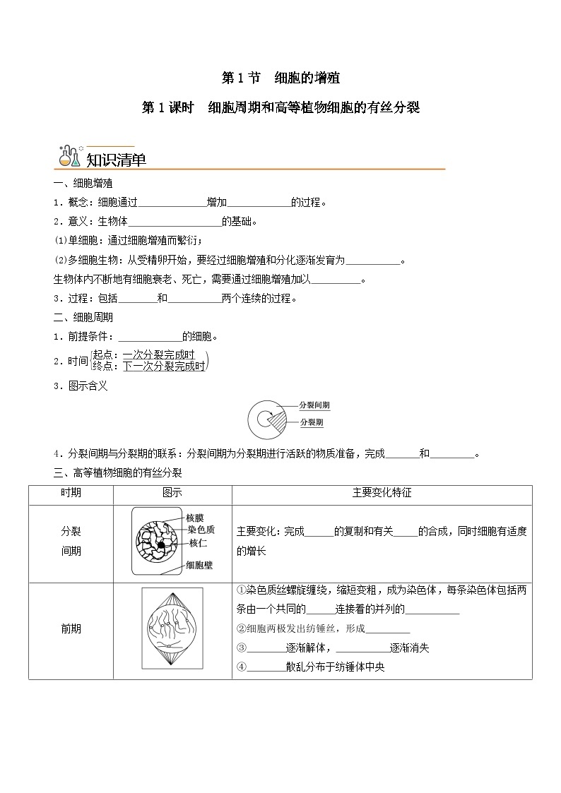 【同步讲义】高中生物（人教版2019）必修第一册--6.1.1《细胞周期和高等植物细胞的有丝分裂》讲义01