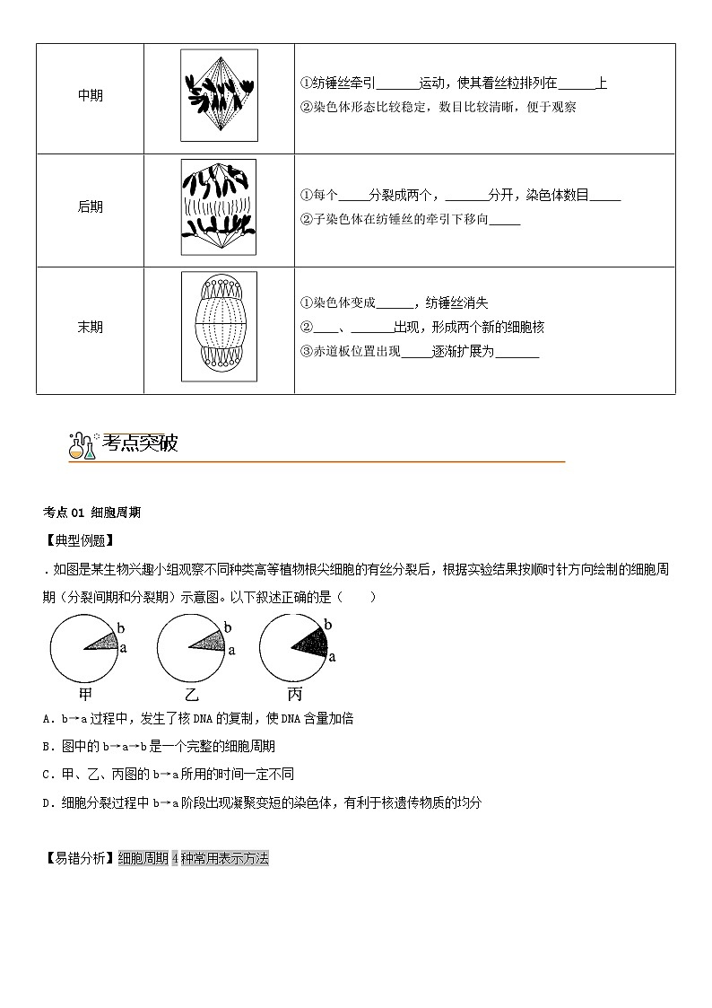 【同步讲义】高中生物（人教版2019）必修第一册--6.1.1《细胞周期和高等植物细胞的有丝分裂》讲义（学生版）第2页