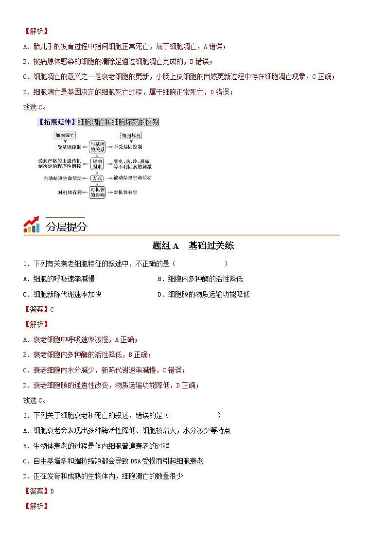 【同步讲义】高中生物（人教版2019）必修第一册--6.3《细胞的衰老和死亡》讲义03