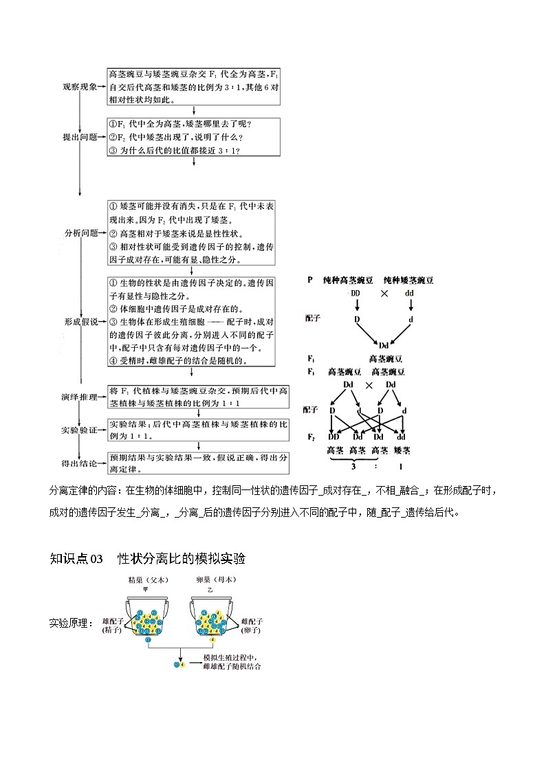 【同步讲义】高中生物（人教版2019）必修第二册--1.1《孟德尔的豌豆杂交实验（一）》讲义（教师版）第3页