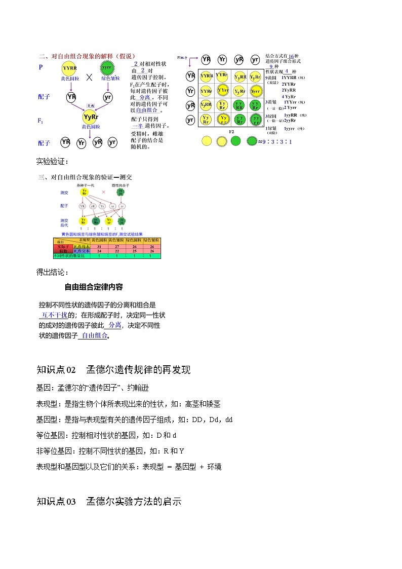 【同步讲义】高中生物（人教版2019）必修第二册--1.2《孟德尔的豌豆杂交实验（二）》讲义（教师版）第2页