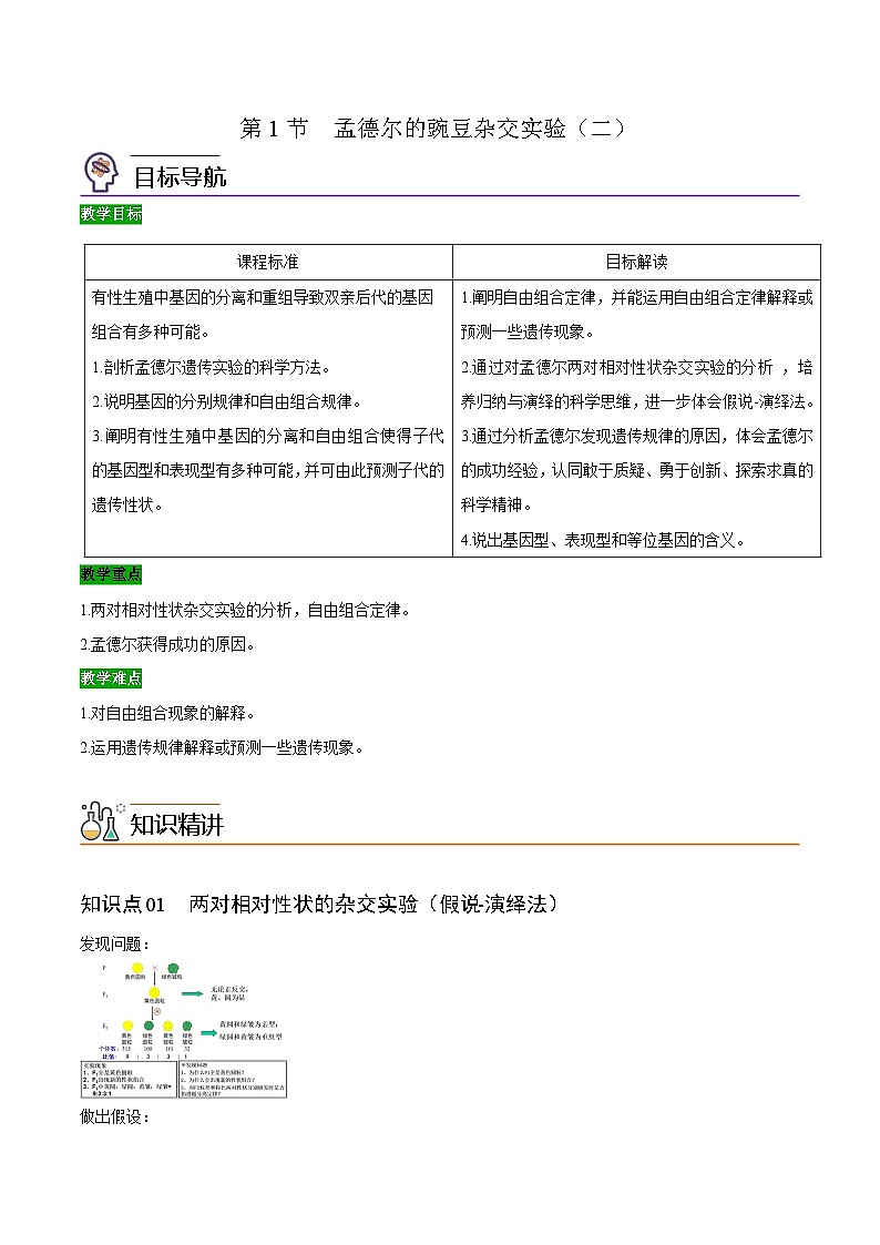 【同步讲义】高中生物（人教版2019）必修第二册--1.2《孟德尔的豌豆杂交实验（二）》讲义（学生版）第1页
