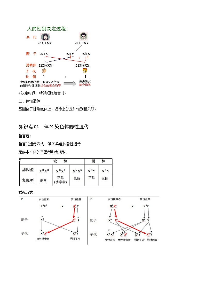 【同步讲义】高中生物（人教版2019）必修第二册--2.3《伴性遗传》讲义03
