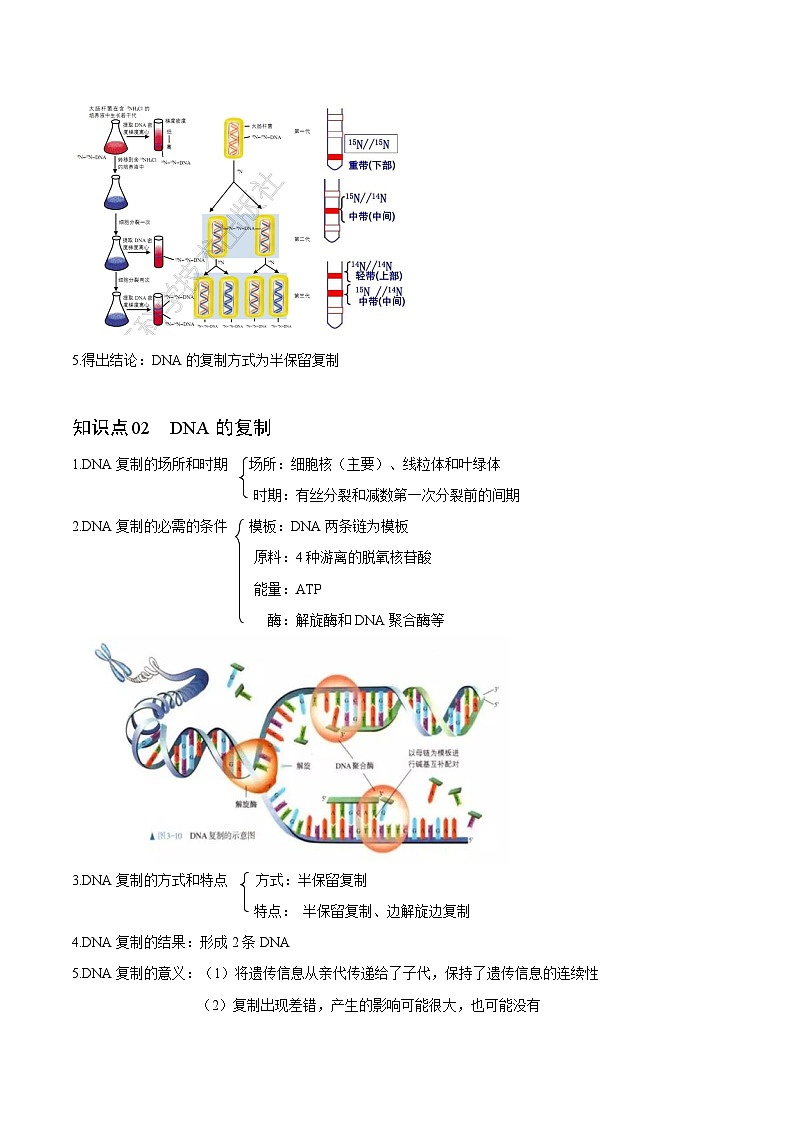 【同步讲义】高中生物（人教版2019）必修第二册--3.3《DNA的复制》讲义03