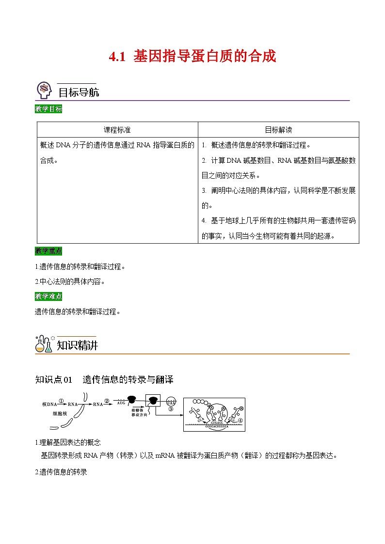 【同步讲义】高中生物（人教版2019）必修第二册--4.1《基因指导蛋白质的合成》讲义01
