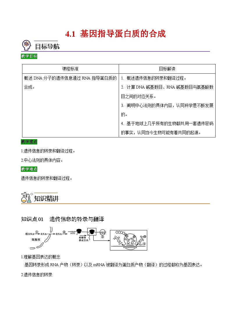 【同步讲义】高中生物（人教版2019）必修第二册--4.1《基因指导蛋白质的合成》讲义01