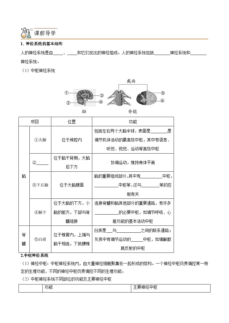 【同步讲义】高中生物（人教版2019）选修第一册--2.1《神经调节的结构基础》讲义（学生版）第2页
