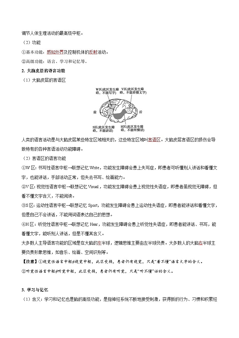 【同步讲义】高中生物（人教版2019）选修第一册--2.5《人脑的高级功能》讲义02