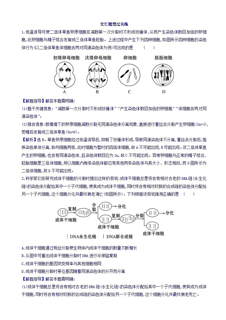 高考生物二轮复习练习：专题04 细胞的生命历程 交汇题型过关练（含答案）第1页