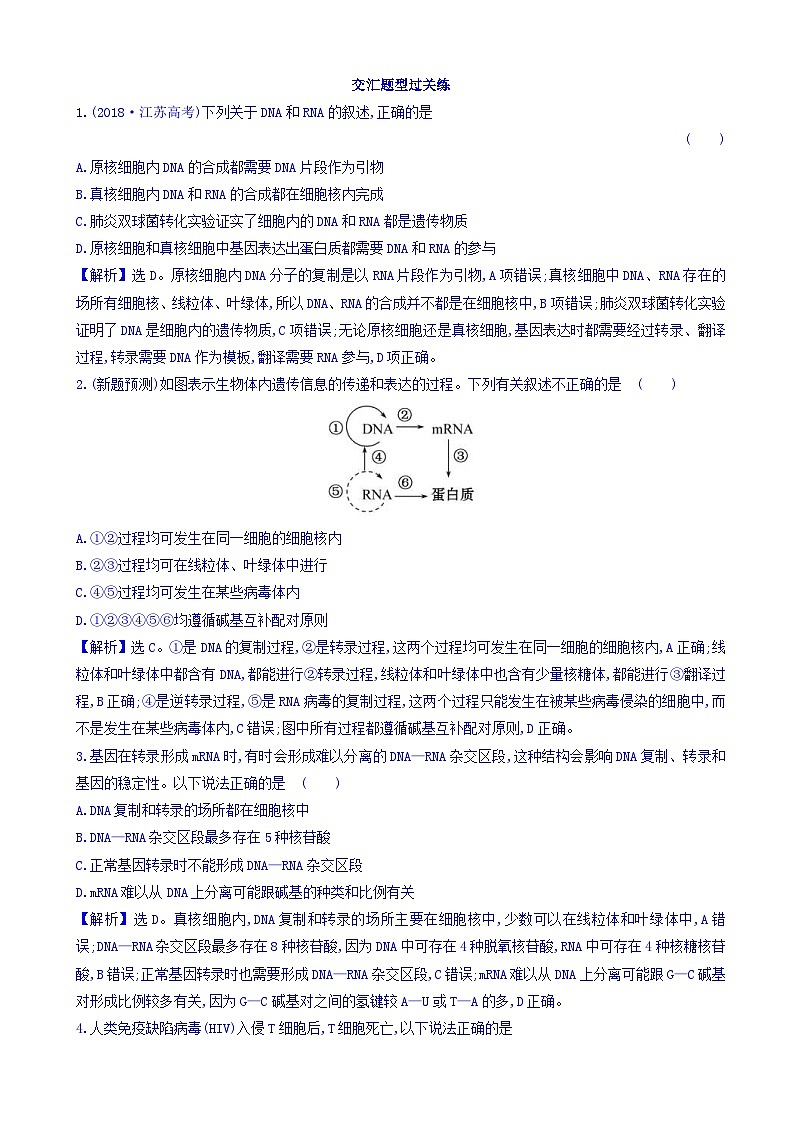 高考生物二轮复习练习：专题05 遗传的分子基础 交汇题型过关练（含答案）第1页