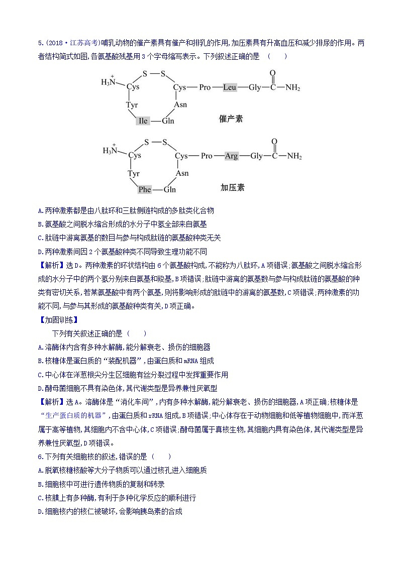 高考生物二轮复习练习：专题01 细胞的物质组成、结构与物质运输 专题能力提升练（含答案）第3页
