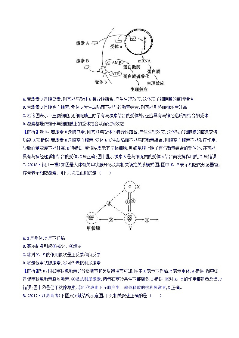 高考生物二轮复习练习：专题08 动物和人体生命活动的调节 专题能力提升练（含答案）第3页