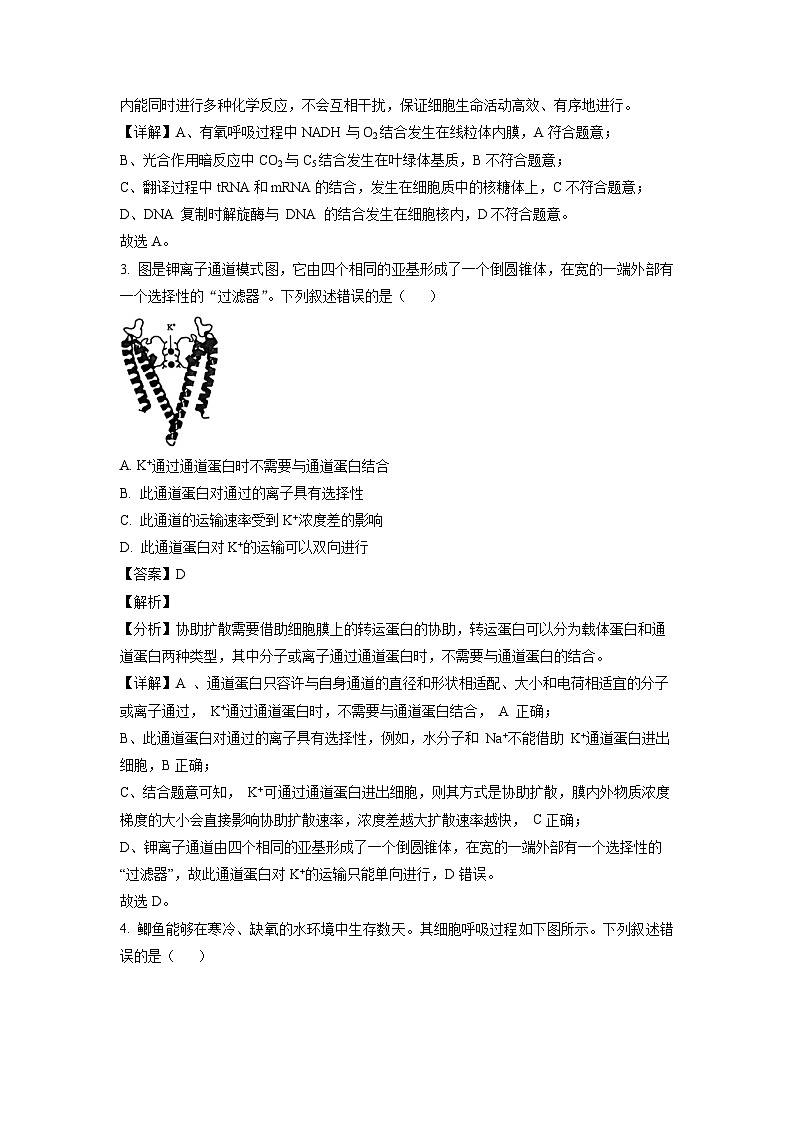 2023届广东省深圳市高三第一次调研考试生物试题02