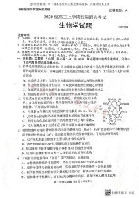 2023届山东省日照市高三上学期第一次校际联考生物试题