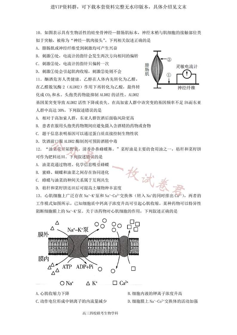 2024 届广东省四校高三第一次联考 生物第3页