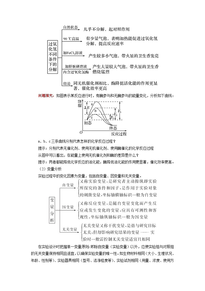 人教版（2019）必修一 第5章 细胞的能量供应和利用 第1节 学案03