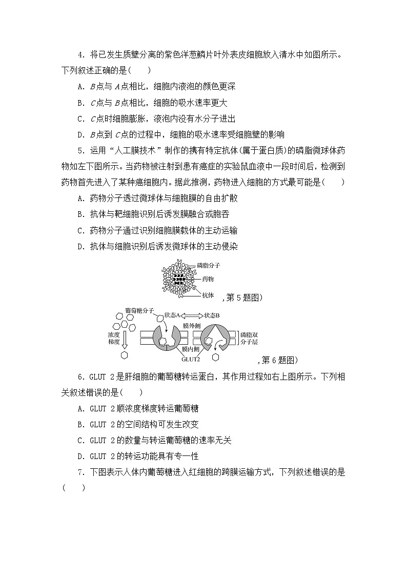 人教版（2019）必修一 第4章 细胞的物质输入和输出单元 检测卷（word版有答案）02