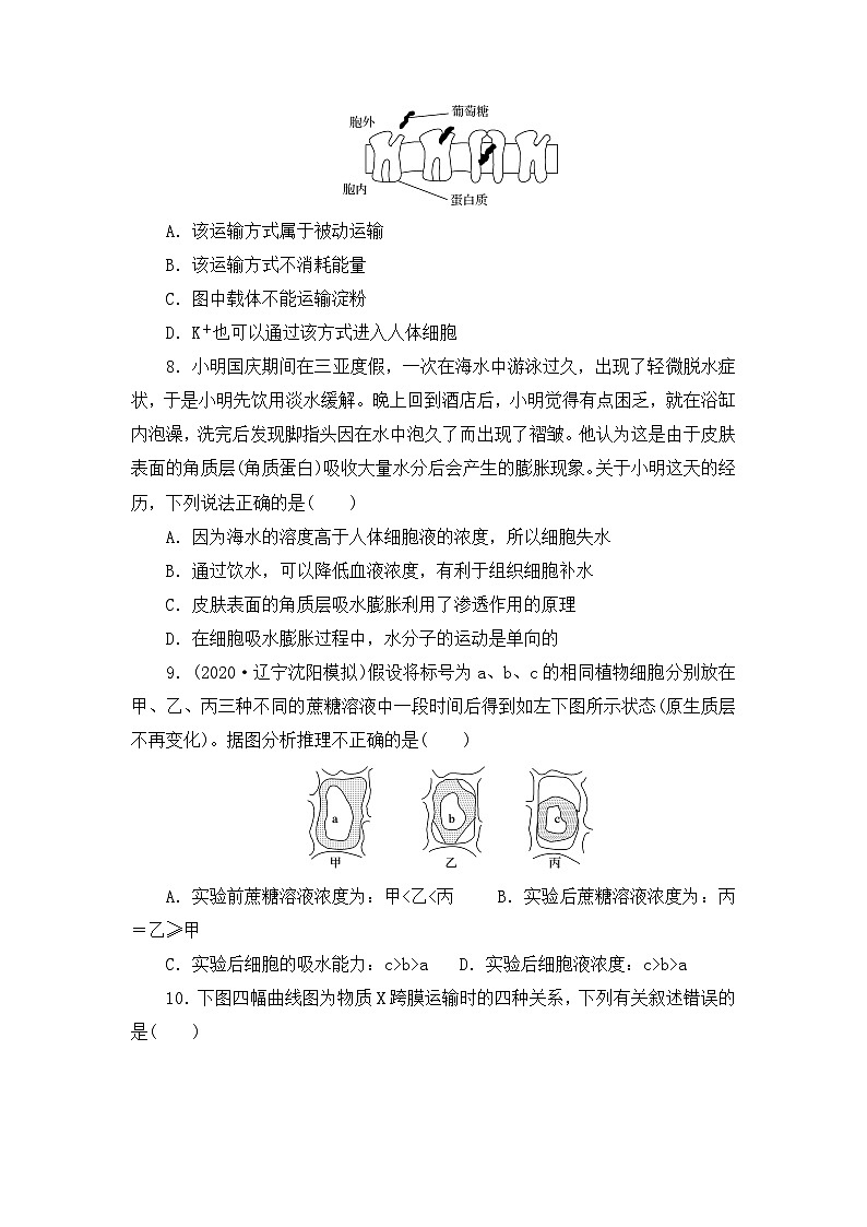 人教版（2019）必修一 第4章 细胞的物质输入和输出单元 检测卷（word版有答案）03