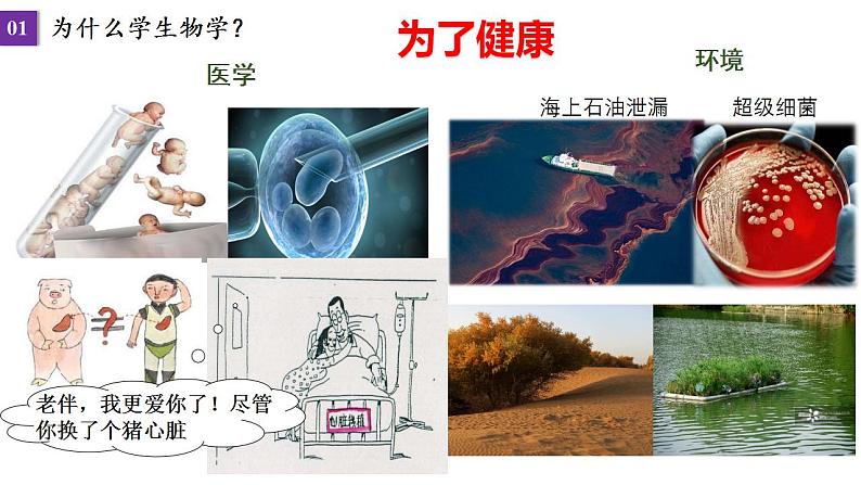 【开学第一课】人教版(2019)高一生物必修第一册--开学第一课之爱上生物 课件05