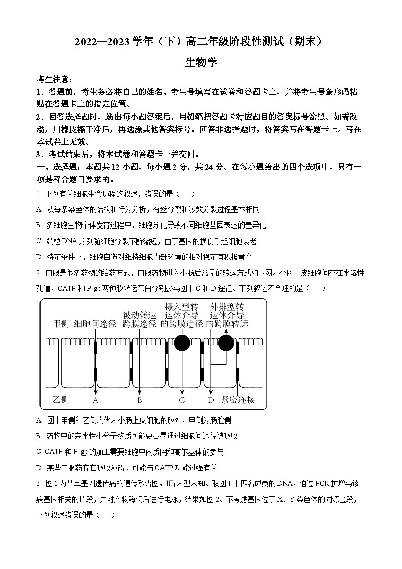 安徽省合肥市肥西县2022-2023学年高二生物下学期期末考试试题（Word版附答案）01