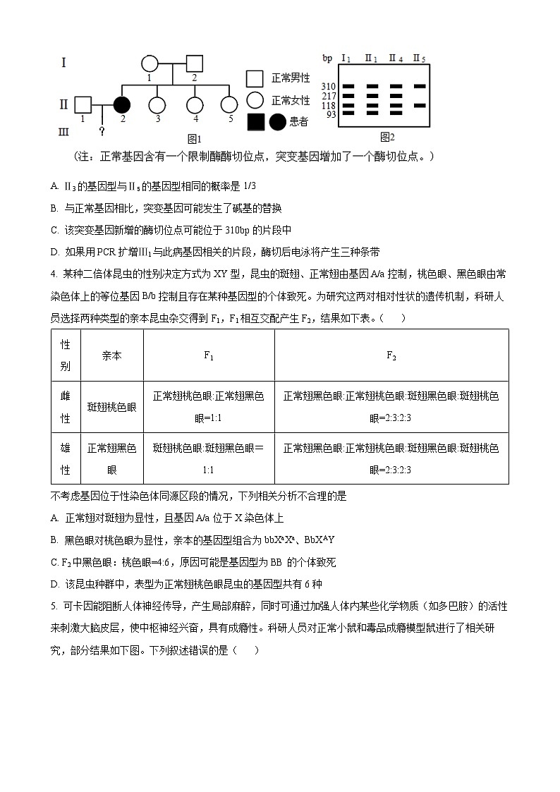 安徽省合肥市肥西县2022-2023学年高二生物下学期期末考试试题（Word版附答案）02