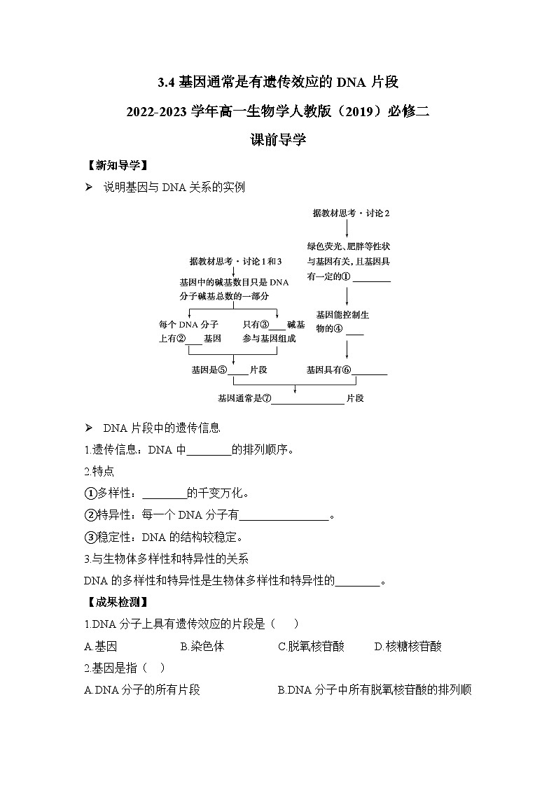 高中生物学人教版（2019）必修二 3.4基因通常是有遗传效应的DNA片段 导学案（含解析）01