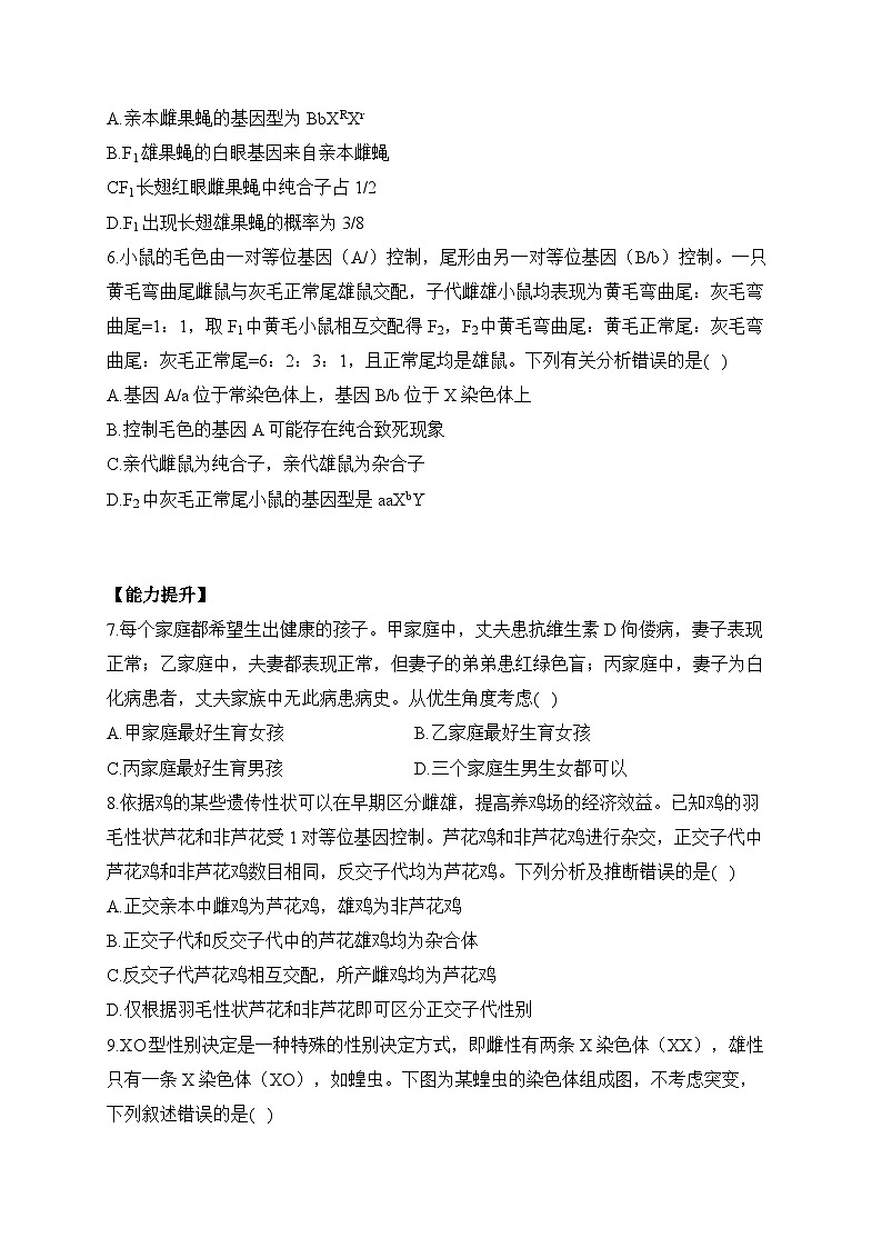 高中生物学人教版（2019）必修二 2.3伴性遗传 同步课时训练（有解析）第2页