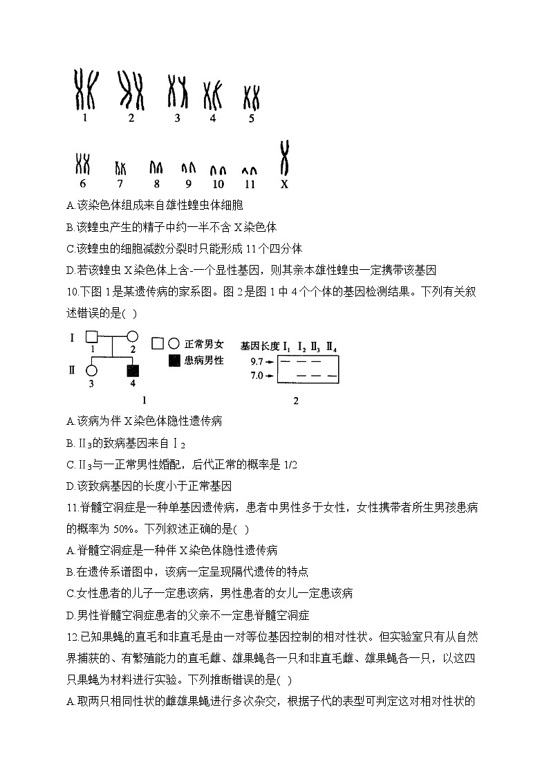 高中生物学人教版（2019）必修二 2.3伴性遗传 同步课时训练（有解析）第3页