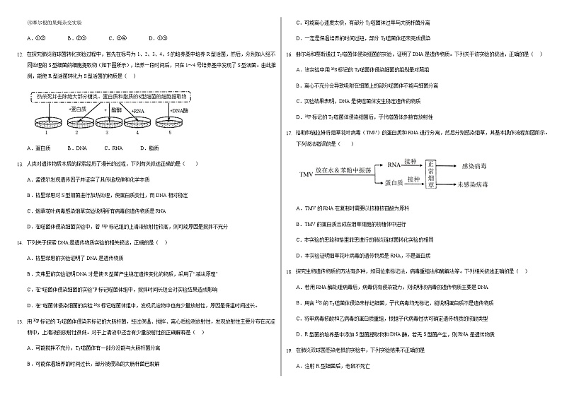 高中生物学人教版（2019）必修二  3.3DNA的复制 同步练习第2页