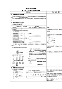 高中生物人教版 (2019)必修2《遗传与进化》第3章 基因的本质第1节 DNA是主要的遗传物质表格导学案及答案