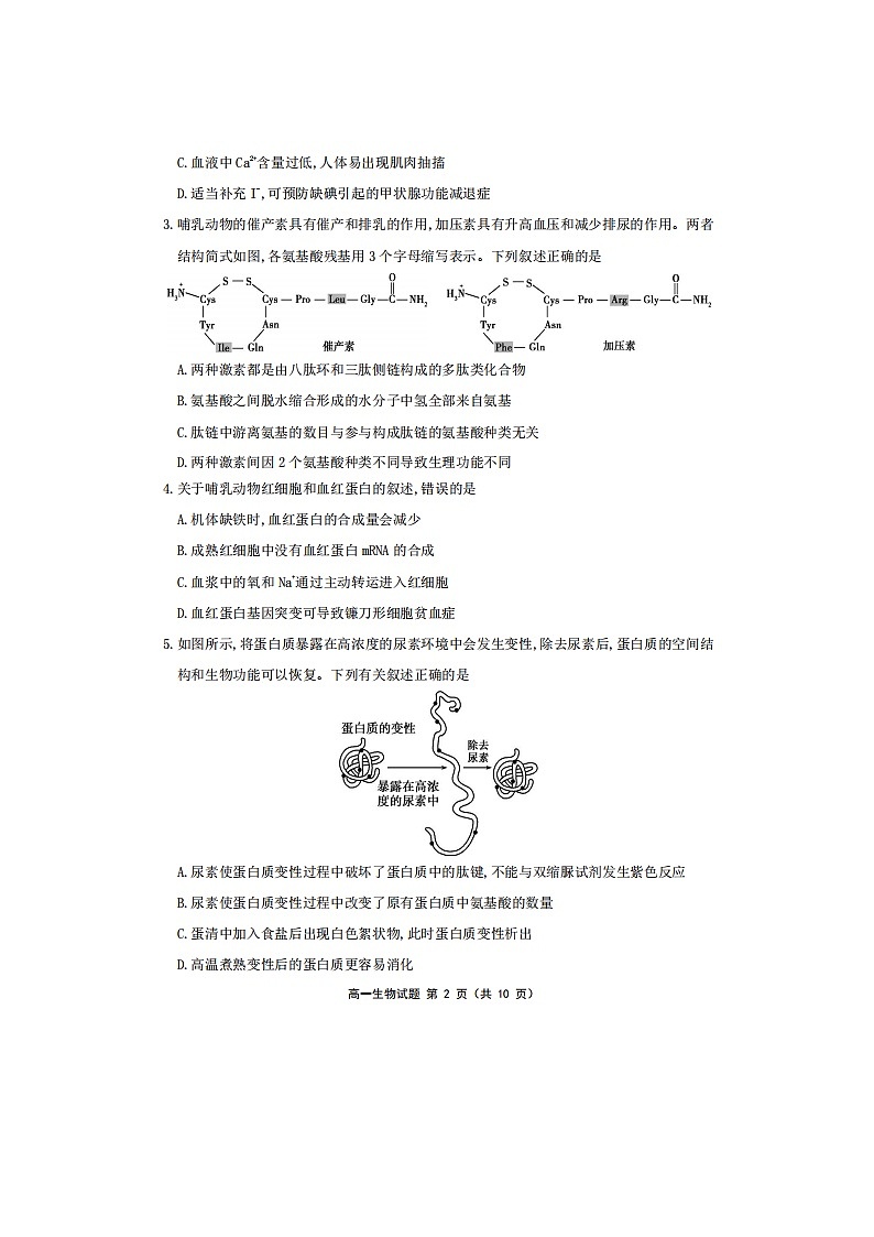 2023届福建省宁德市霞浦县高一上学期生物期末试题02