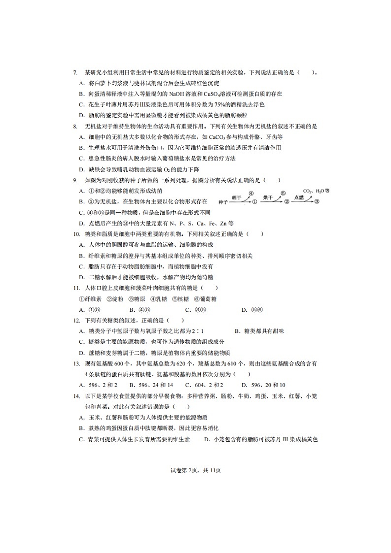 2023届广州市协和中学、华侨中学和增城中学高一上学期生物期考试题02