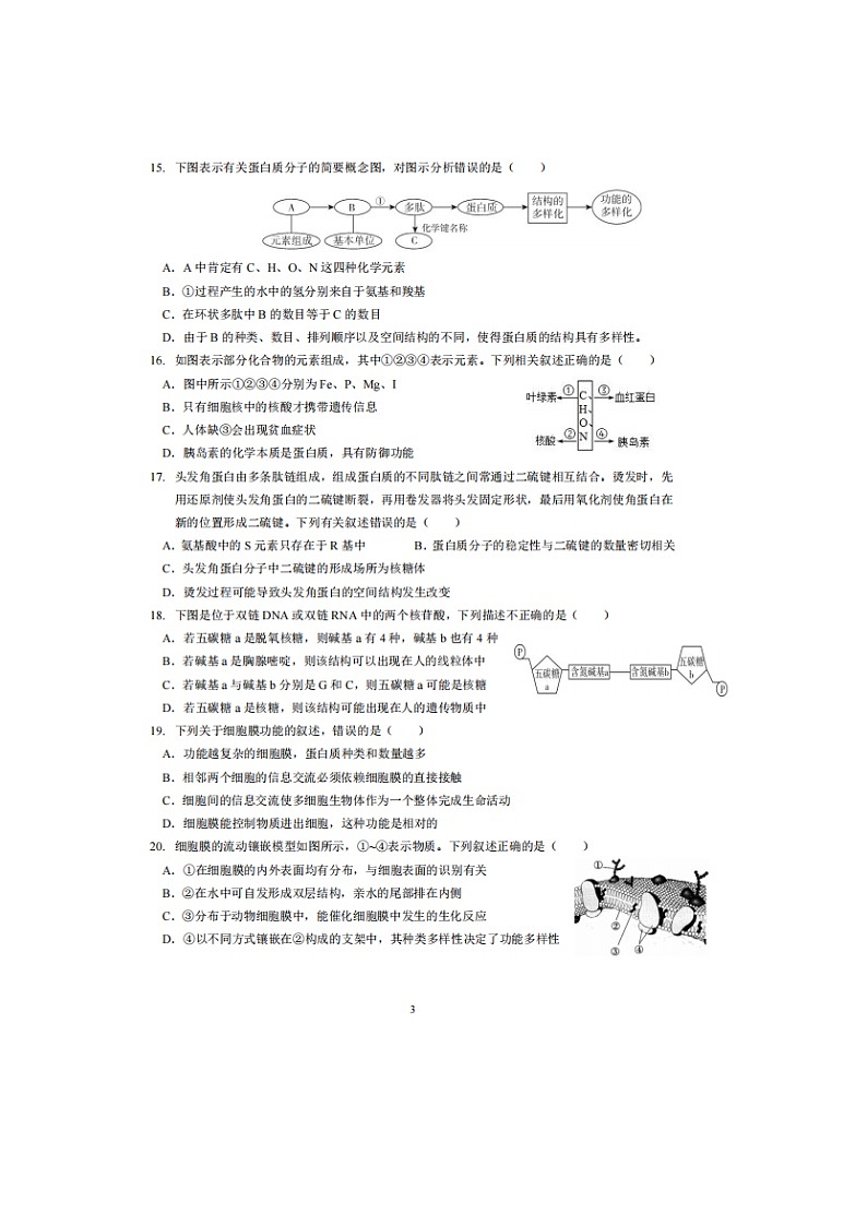 2023届广州市协和中学、华侨中学和增城中学高一上学期生物期考试题03