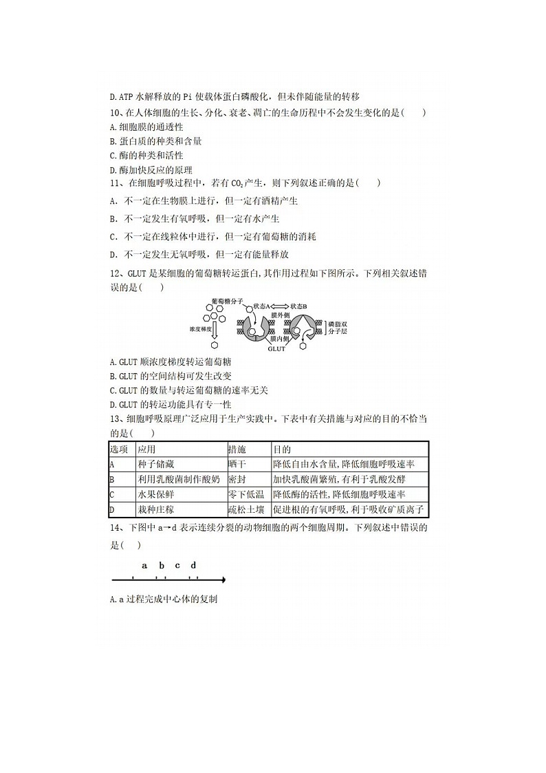 2023届河北省廊坊市第十二中学高一上学期生物期末考试题03