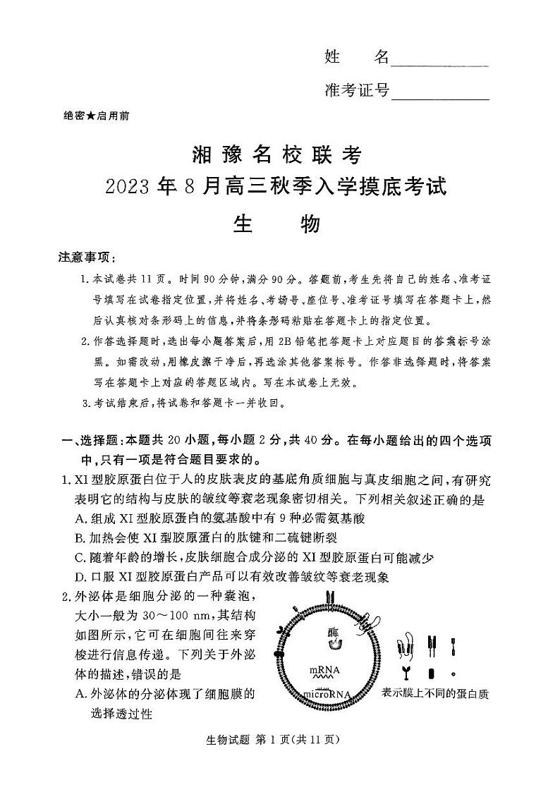2024湘豫名校联考高三上学期8月入学摸底考试生物PDF版含解析01