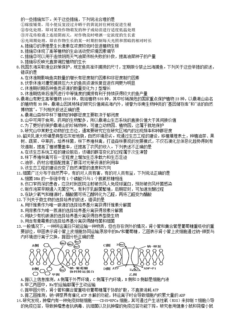 2024七校（深圳宝安中学、中山一中、南海中学、仲元中学、潮阳一中、普宁二中、桂城中学）高三上学期第一次联考（8月）生物含答案 试卷02